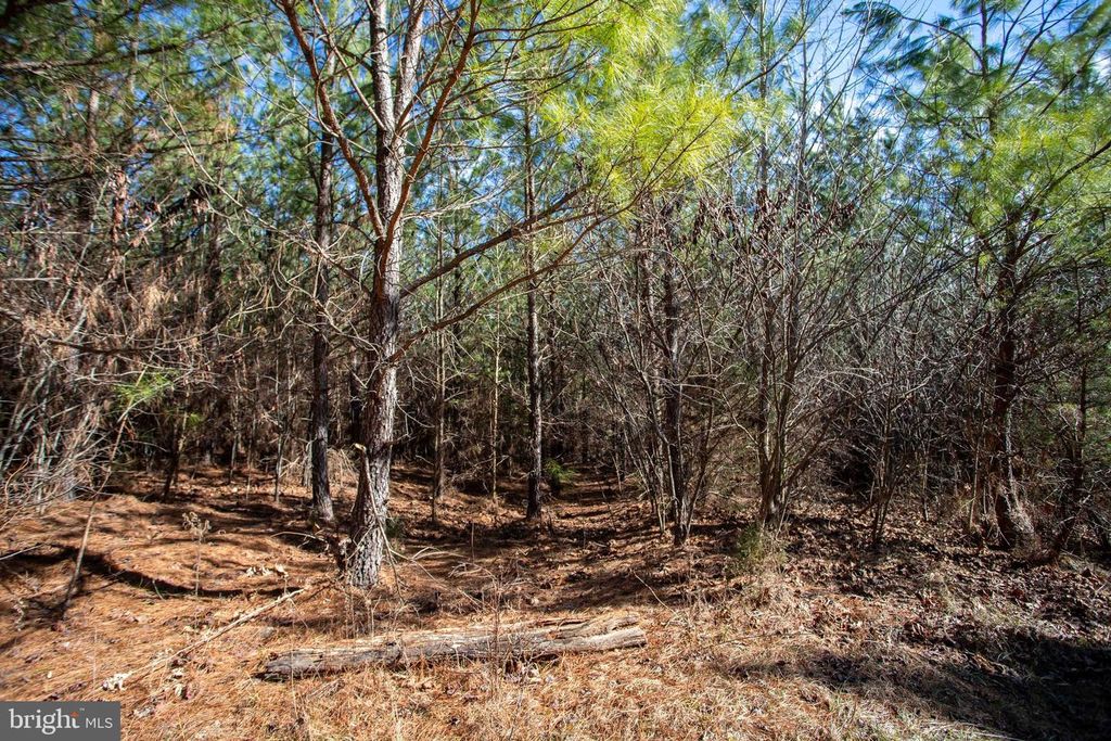 Image 9 of property listing at TBD W GRETNA, Sandy Level, VA 24161