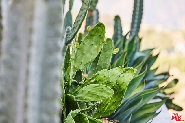 2543 S Foose Road, Malibu, CA 90265