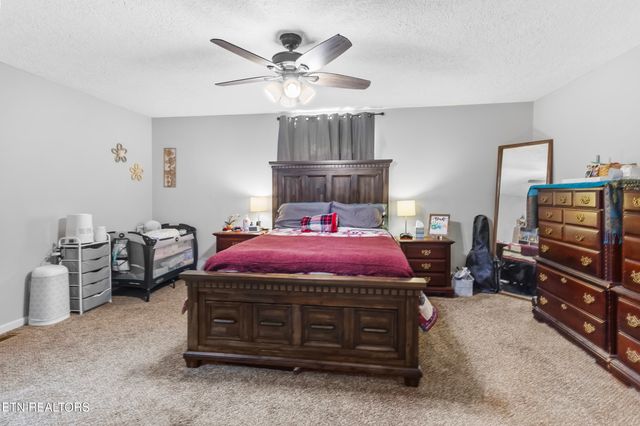 8434 Coppock Rd, Corryton, TN 37721