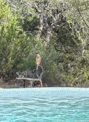 752 Taylor, Bulverde, TX 78163