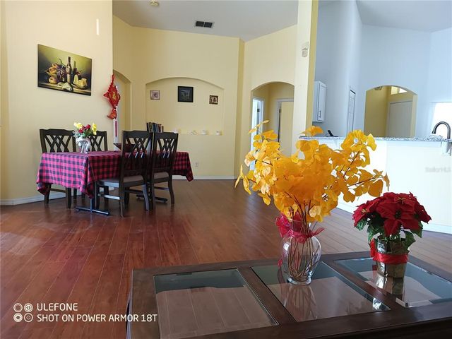223 LADY DIANA DRIVE, Davenport, FL 33837