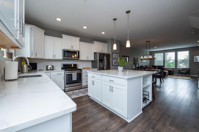533 Satori Way, Chaska, MN 55318