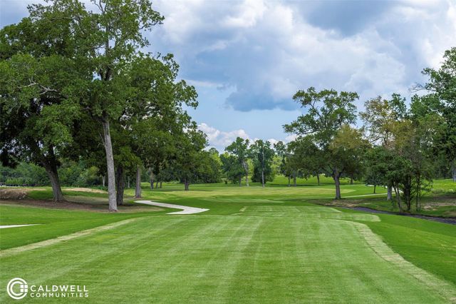 10119 Lehman Drive, Willis, TX 77318