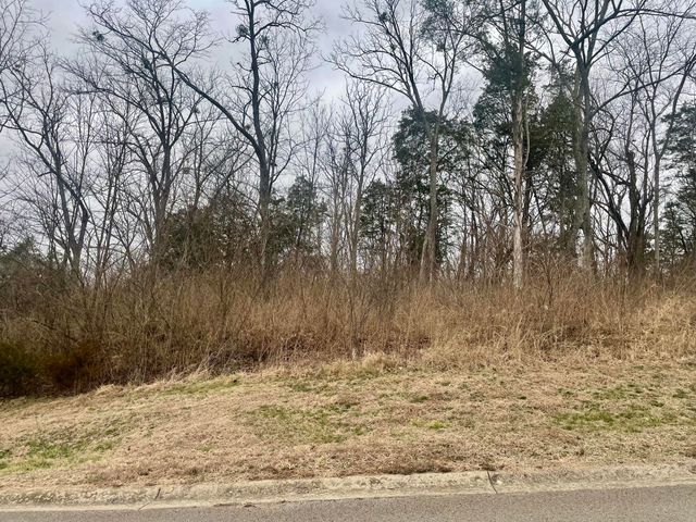 628 Persimmon Ridge Trail, Richmond, KY 40475