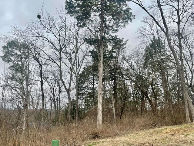 628 Persimmon Ridge Trail, Richmond, KY 40475