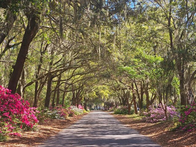 562 Fort Johnson Road, Charleston, SC 29412