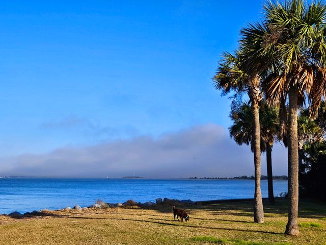 562 Fort Johnson Road, Charleston, SC 29412