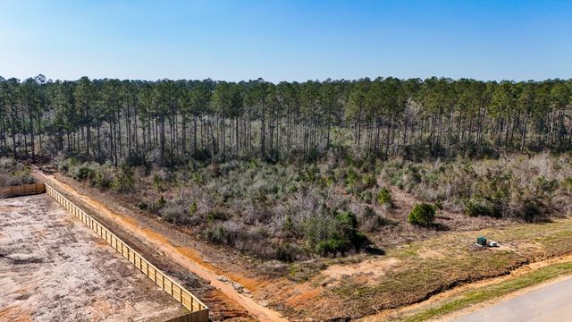 15973 Ridge Oak Road, Willis, TX 77378