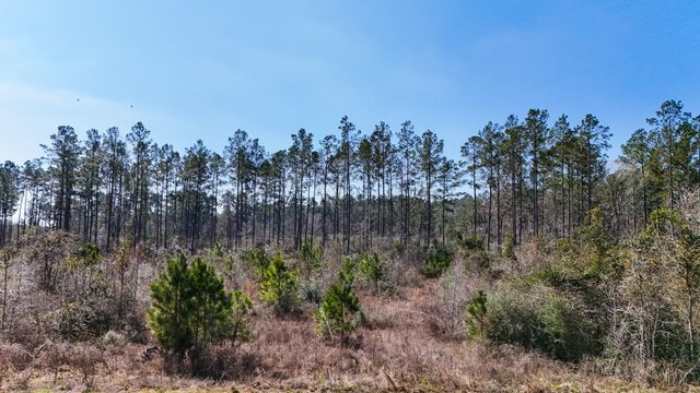 15973 Ridge Oak Road, Willis, TX 77378