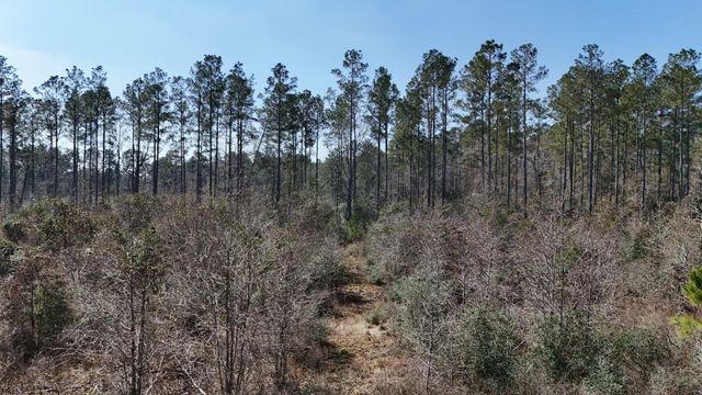 15973 Ridge Oak Road, Willis, TX 77378