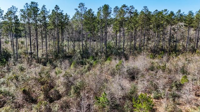 15973 Ridge Oak Road, Willis, TX 77378