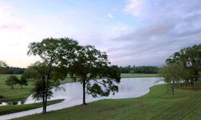 15973 Ridge Oak Road, Willis, TX 77378