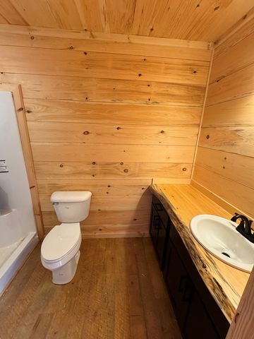 Lot 639 Moreland Drive, Blue Ridge, GA 30513