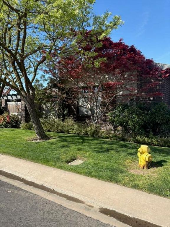 725 N Silvervale Drive, Visalia, CA 93292