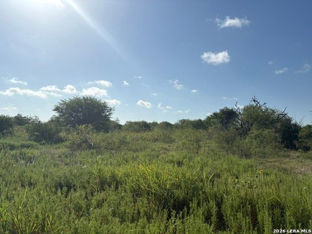 129 Persimmon Trail, Marion, TX 78124