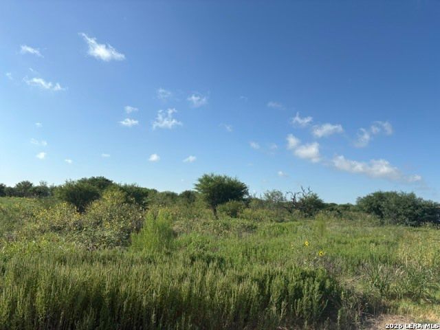 129 Persimmon Trail, Marion, TX 78124