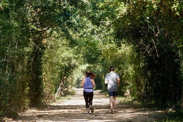 10927 Day Jassamine Way, Cypress, TX 77433