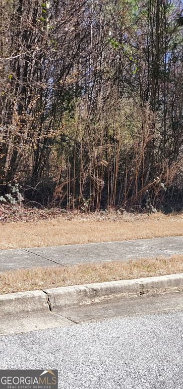 3447 Tiffany Cove Drive, Loganville, GA 30052