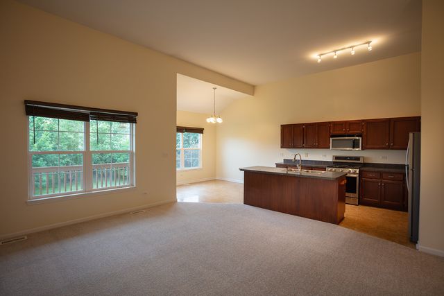 23045 Ironwood Drive, Plainfield, IL 60586