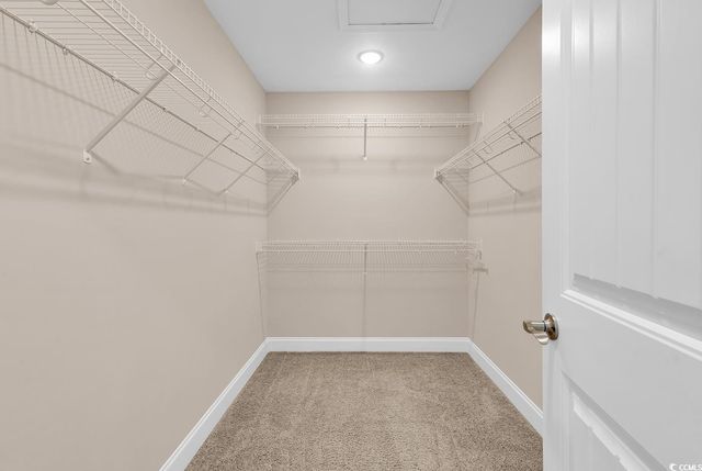 4920 Highway 90, Conway, SC 29526