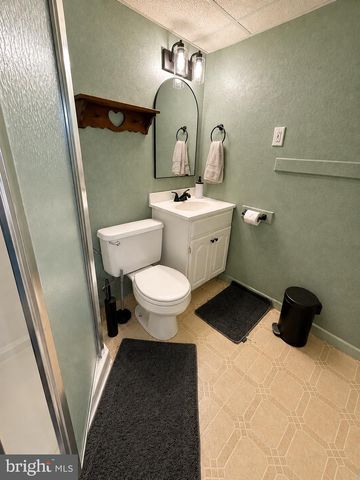 43 E JEFFERSON ST, Womelsdorf, PA 19567