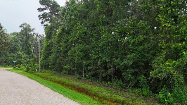 0 Golden Lane, Houston, TX 77336