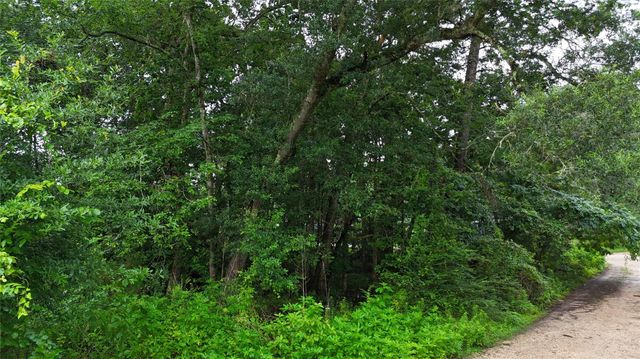 0 Golden Lane, Houston, TX 77336