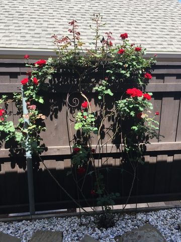 672 Channel Ridge Drive, Rockwall, TX 75087