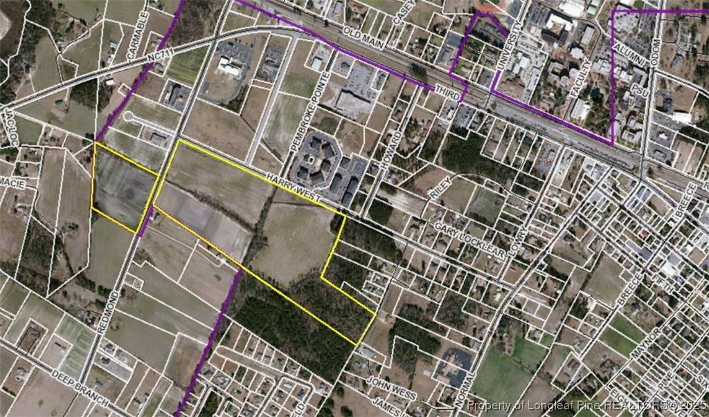 Harry West Lane, Pembroke, NC 28372 — photo 2