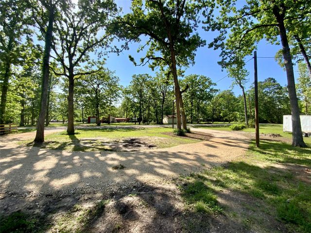 172 Pine Needle St, Onalaska, TX 77360