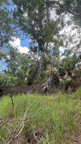 NW SCOUT AVENUE, Arcadia, FL 34266