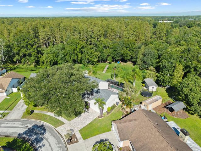 16126 COUNTRY CROSSING DRIVE, Tampa, FL 33624