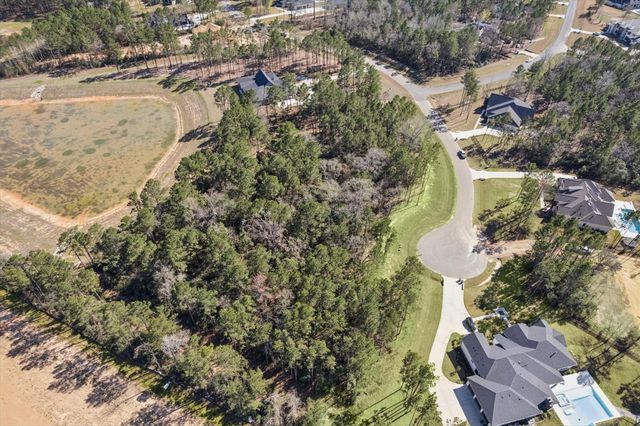 7526 High Meadow Ridge Drive, Montgomery, TX 77316