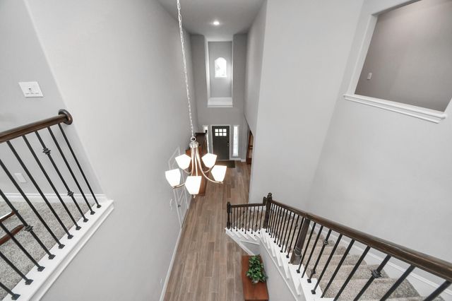 9023 Emerald Cane Drive, Missouri City, TX 77459