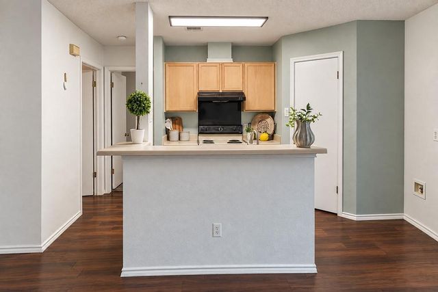 2210 Clayton WAY, Cedar Park, TX 78613