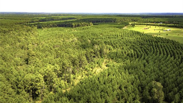 TBD Stutts, Livingston, TX 77351