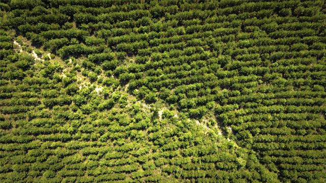 TBD Stutts, Livingston, TX 77351