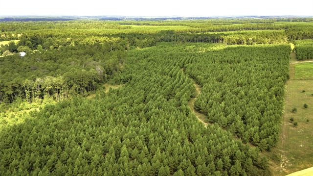 TBD Stutts, Livingston, TX 77351