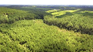 TBD Stutts, Livingston, TX 77351