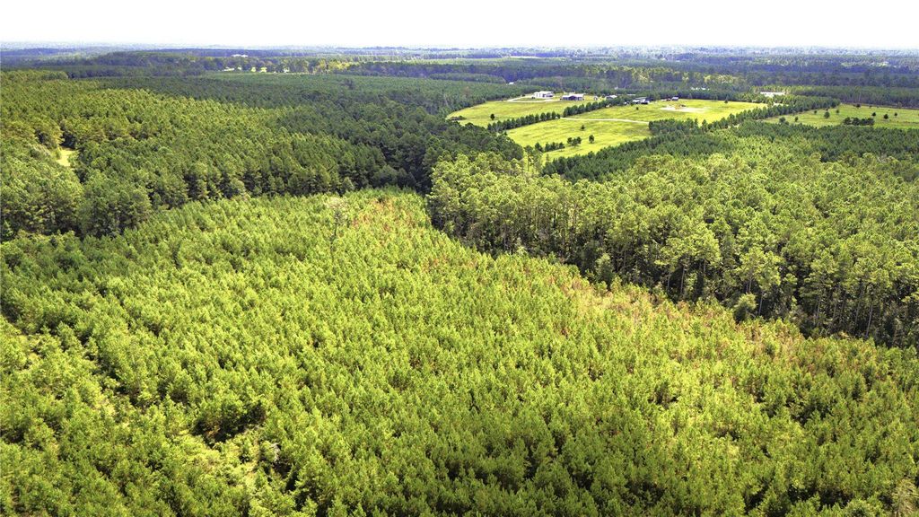 TBD Stutts, Livingston, TX 77351