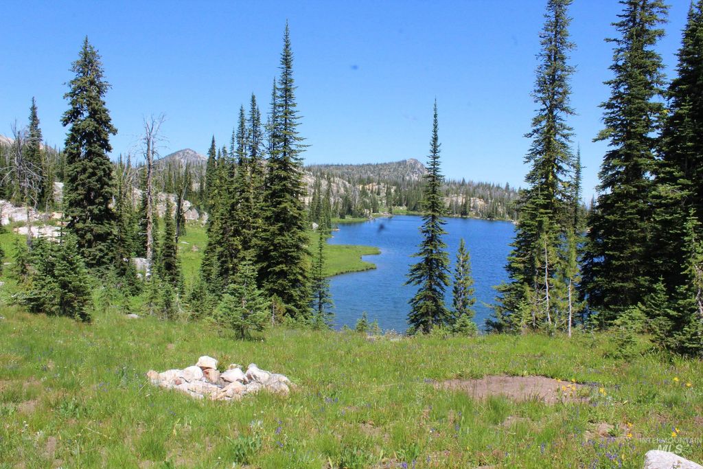 TBD Buffalo Hump, Dixie, ID 83525 photo 22