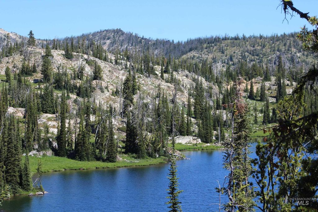 TBD Buffalo Hump, Dixie, ID 83525 photo 23