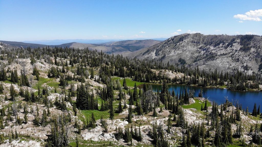 TBD Buffalo Hump, Dixie, ID 83525 photo 8