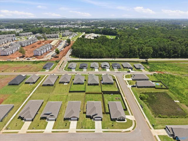 15360 Wildflower Bend, Athens, AL 35611