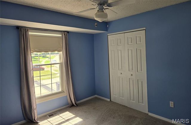 11561 Patty Ann Drive, Unincorporated, MO 63146