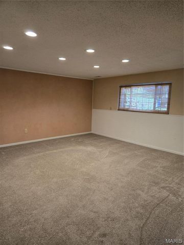 11561 Patty Ann Drive, Unincorporated, MO 63146