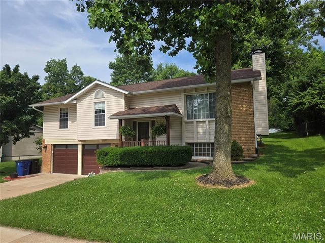 11561 Patty Ann Drive, Unincorporated, MO 63146