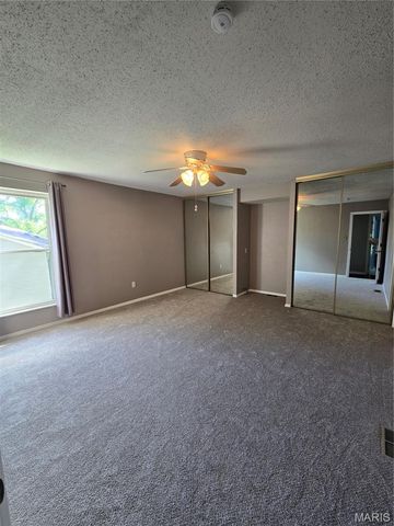 11561 Patty Ann Drive, Unincorporated, MO 63146