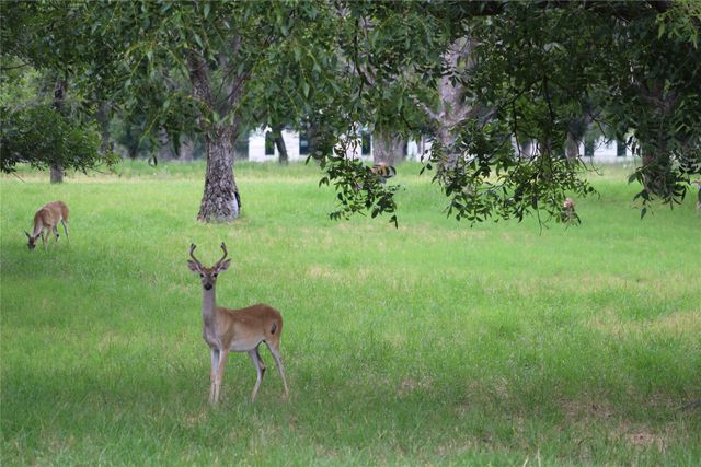 3177 E Landings S, Granbury, TX 76048