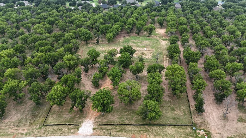 3177 E Landings S, Granbury, TX 76048